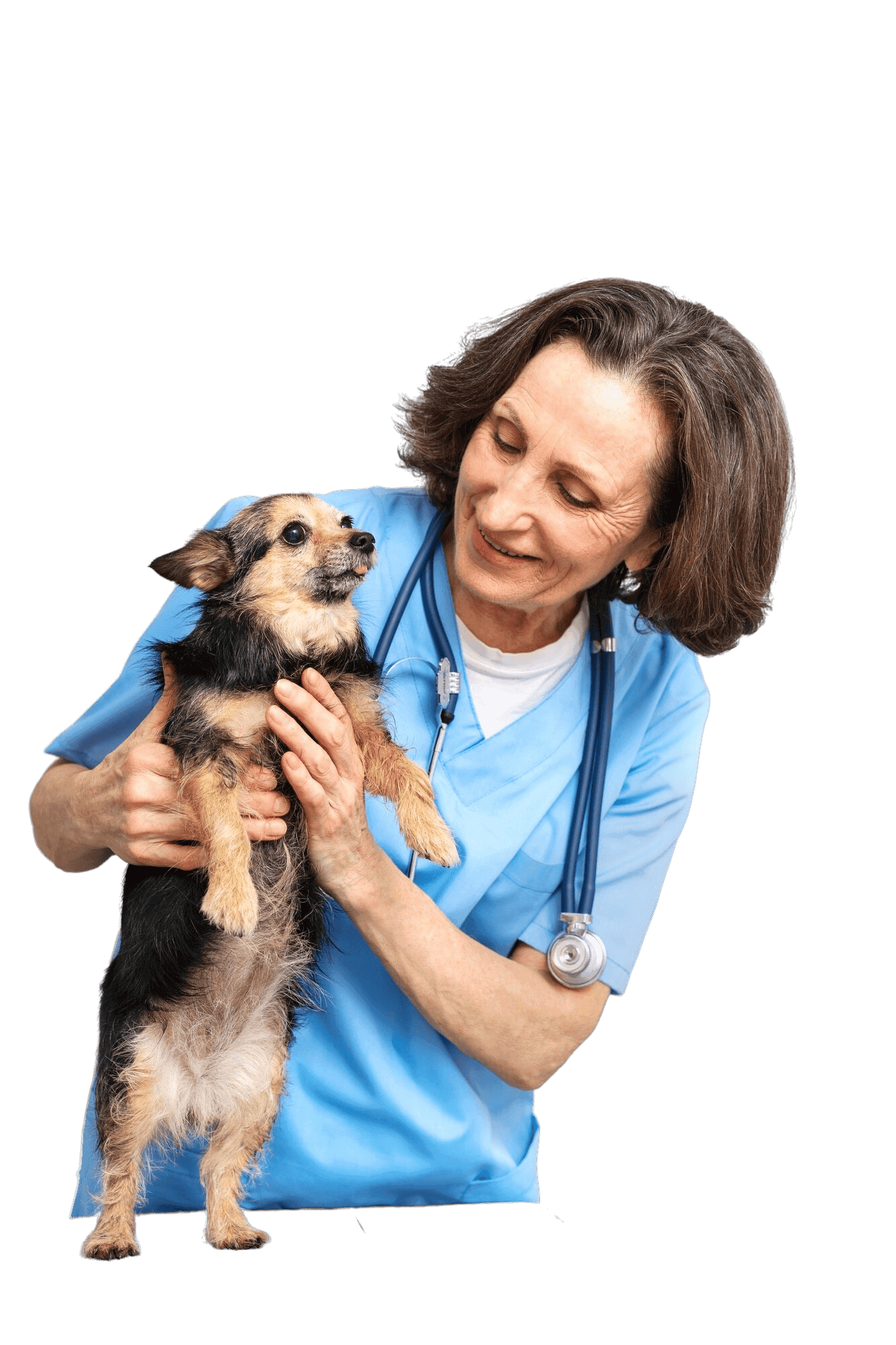 Vétérinaire femme souriante tenant un chien