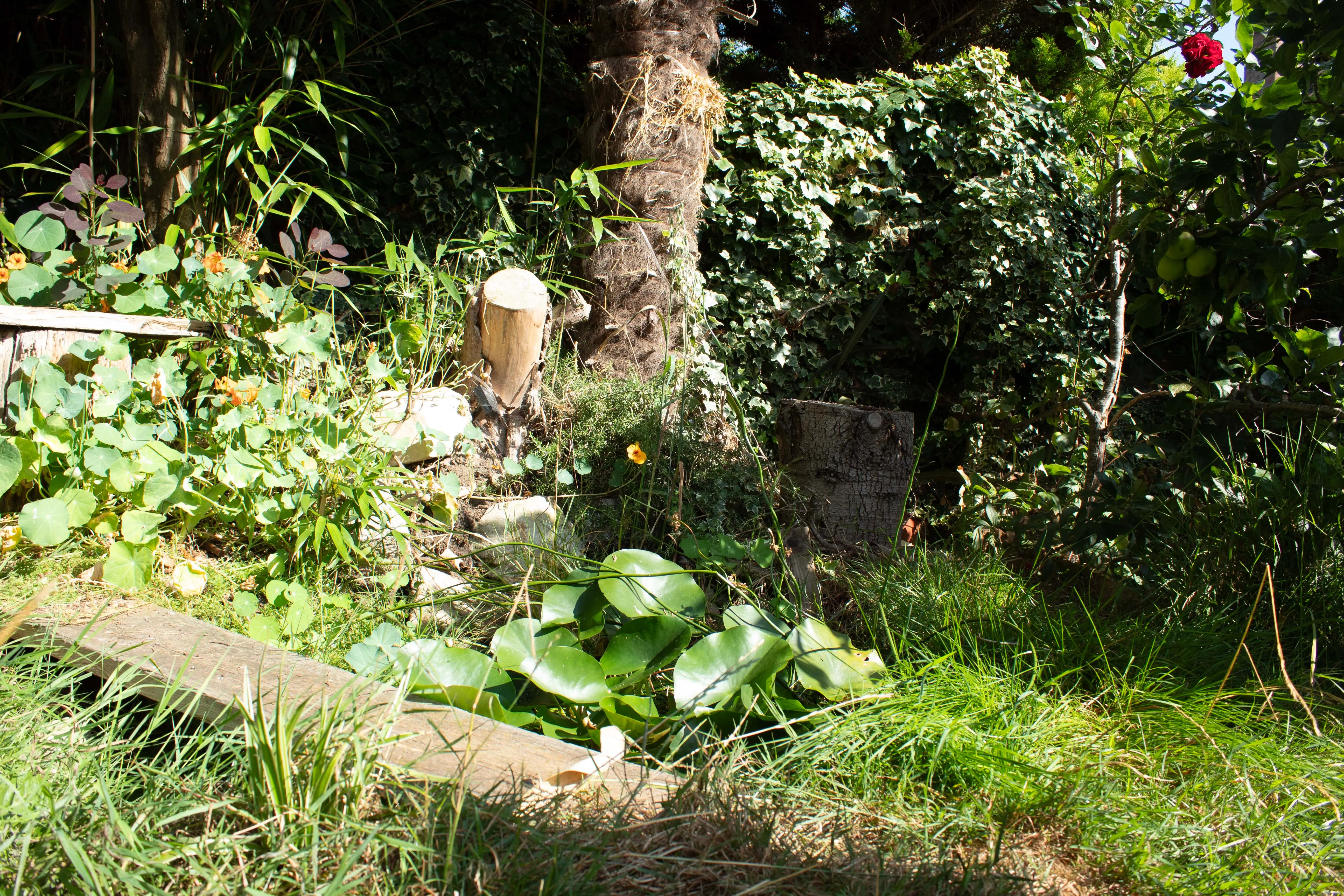 A serene garden scene with lush greenery and a stone figure partially hidden among plants and flowers.