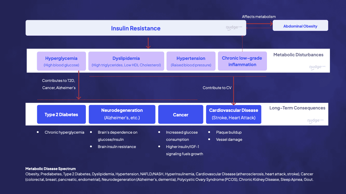 Insulin resistance and the metabolic disease spectrum