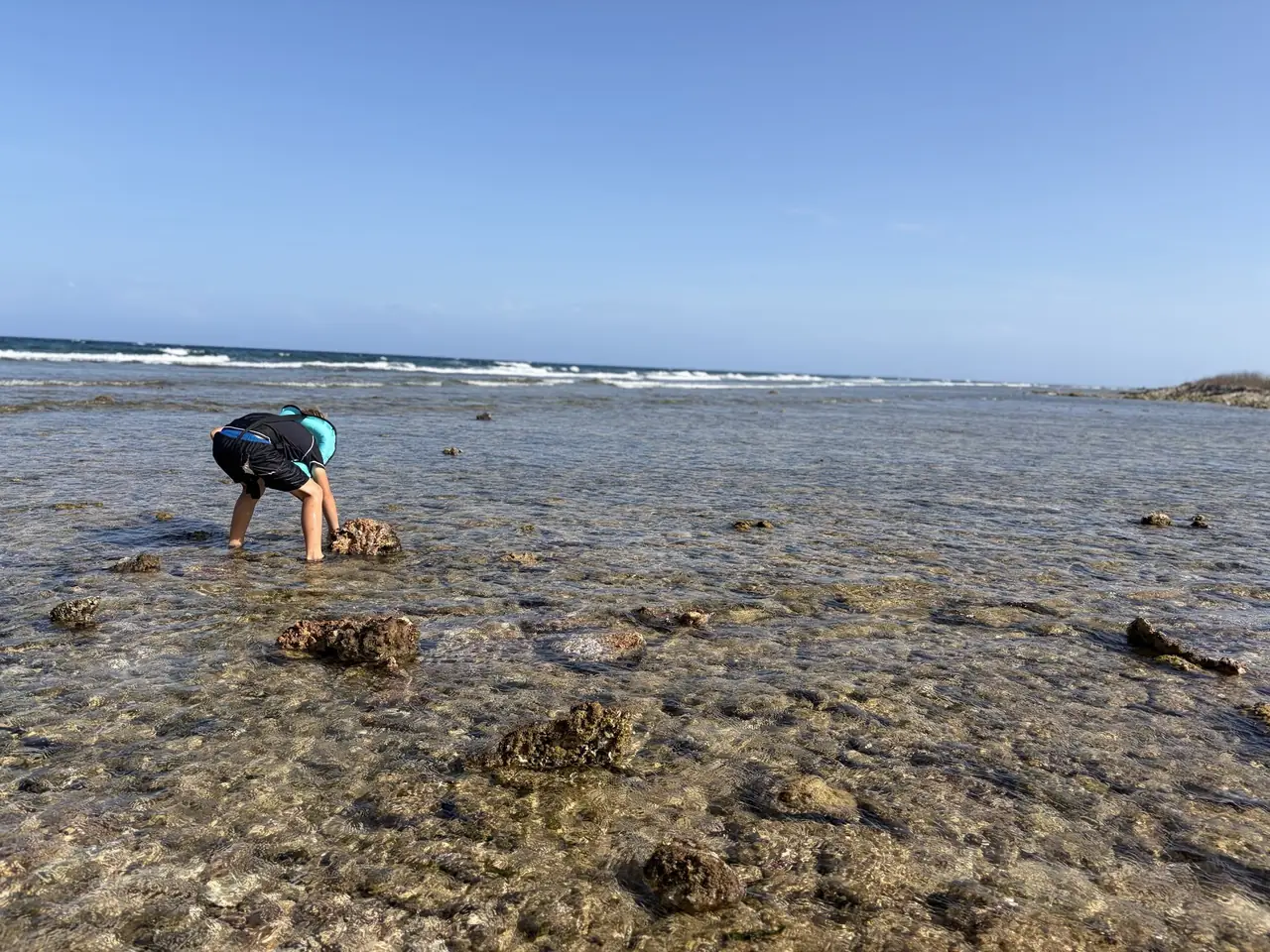 Shallow clear water over rock and coral at Curación, a good place to hunt for crabs and small fish.