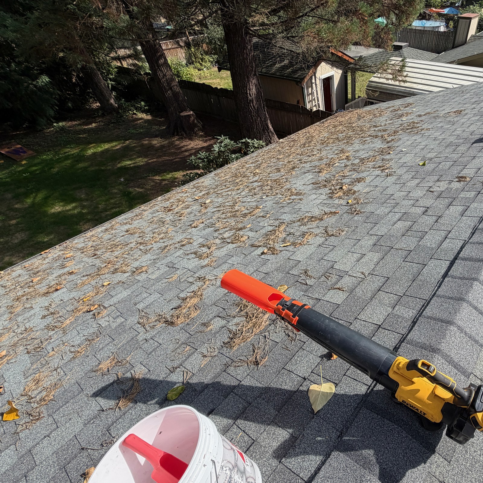 Before: roof cleaning: needles & leaf debris in Arlington, WA