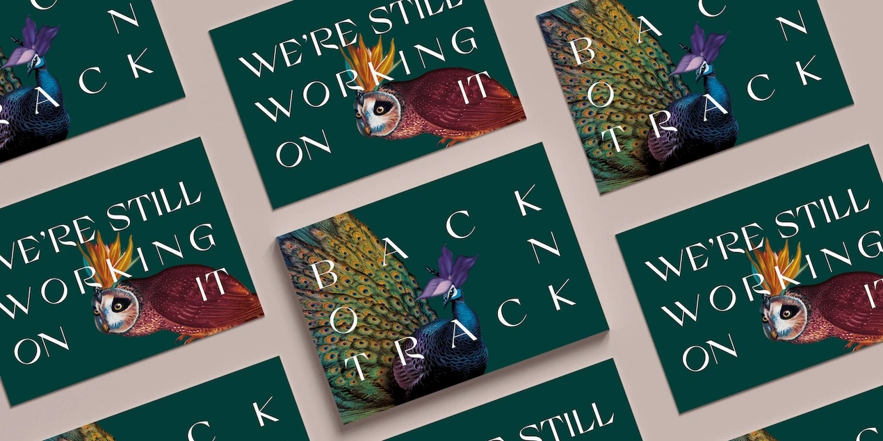 The Other House placeholder cards