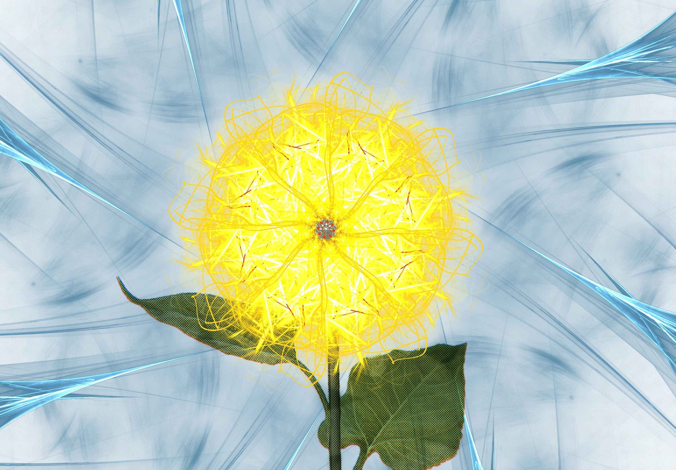 You can't work for Twitter, Elon Musk is different