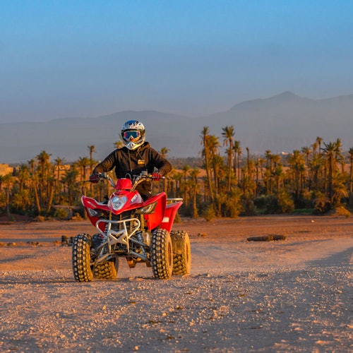 在沙漠景观中，一位骑着红色全地形车的人正在泥土小径上行驶，背景中是棕榈树和山脉。