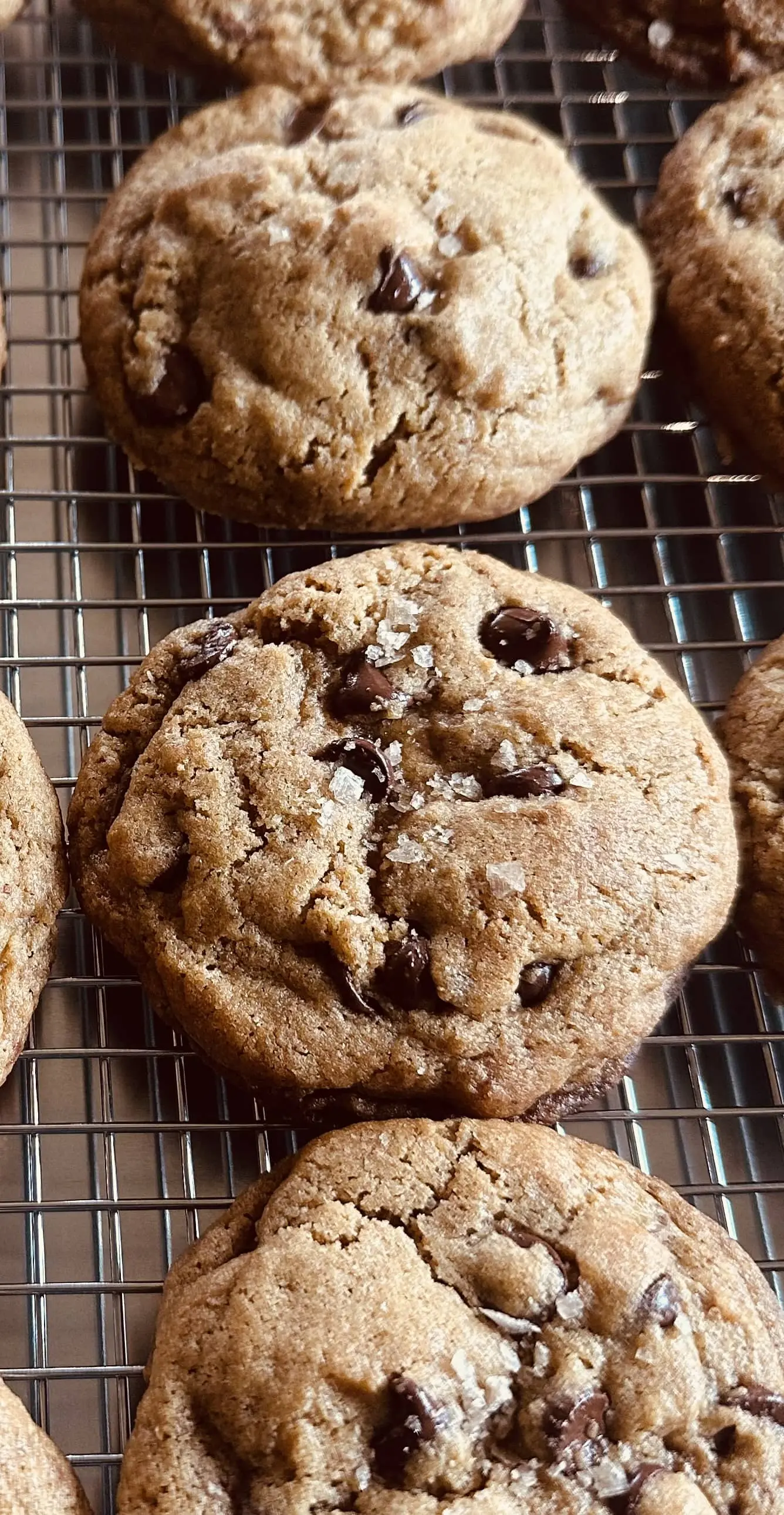Chocolate chip cookies on a pan.