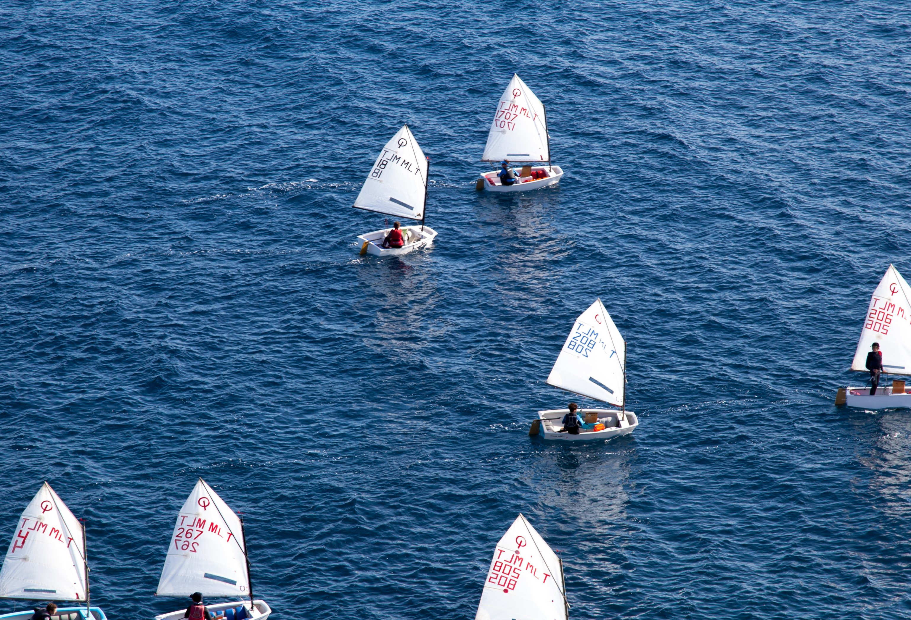 A group of colorful sailboats gliding across the blue ocean under a clear sky.