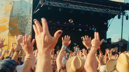 Crowd hands in the air at a music festival.
