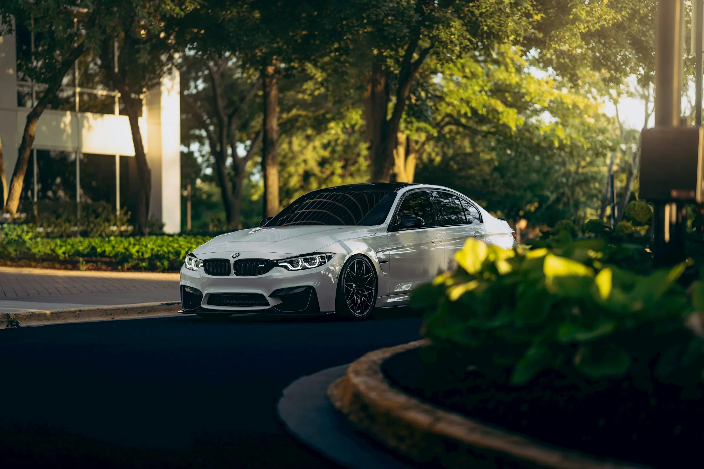 White luxury sedan parked on a quiet street surrounded by trees and modern residential buildings in warm evening light.
