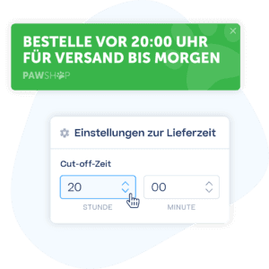 WooCommerce Next Day