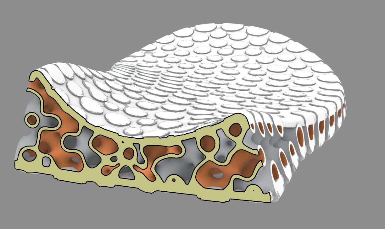 Computational Design Shoe Sole
