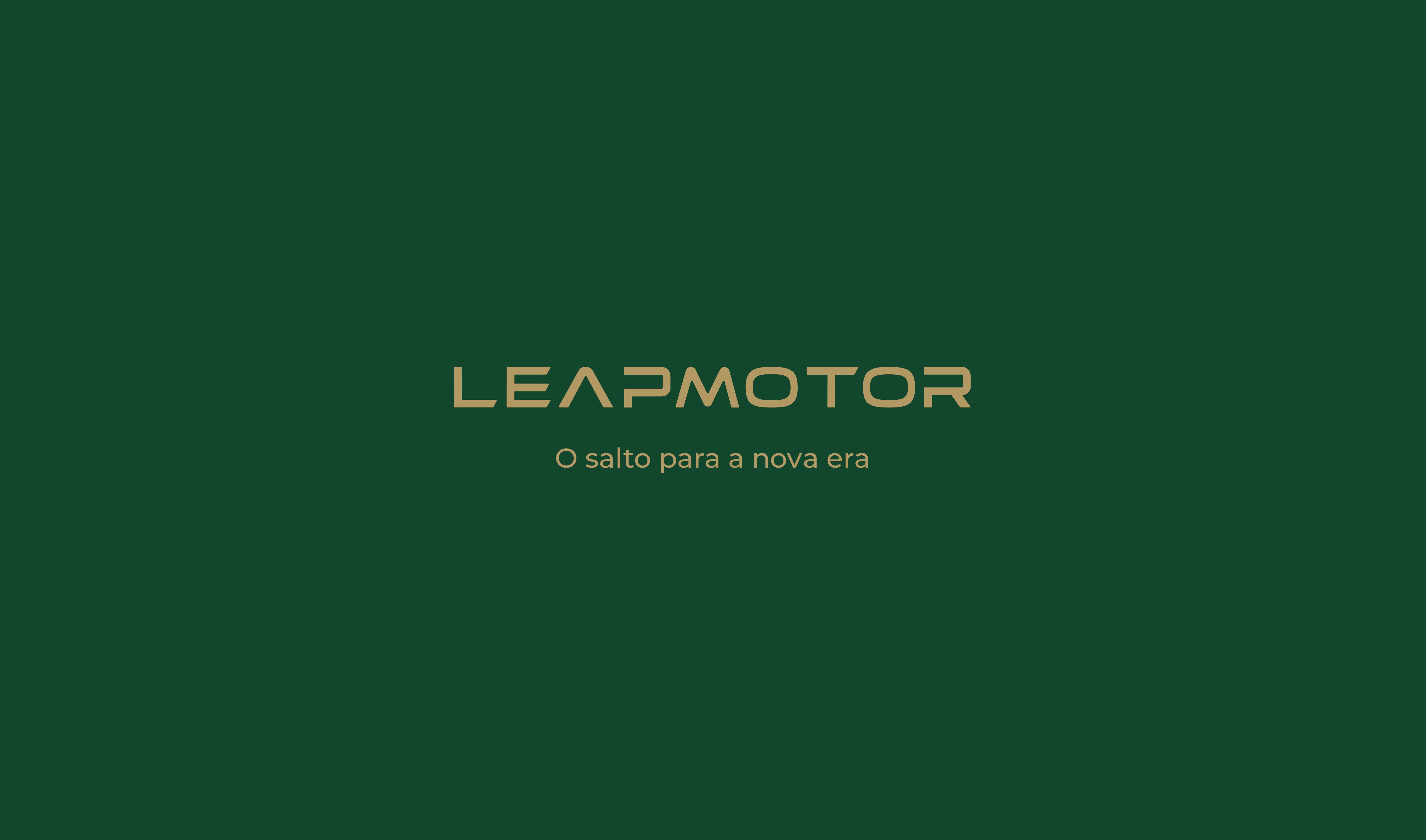 Sandro Rosa - Technical brandbook and visual identity framework for Leapmotor, part of Stellantis Group, aligning strategy, identity and digital expression to support global expansion and local adaptation in Brazil.