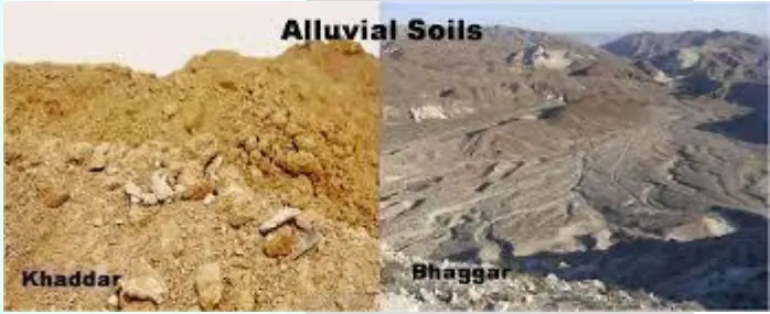 Alluvial Soil