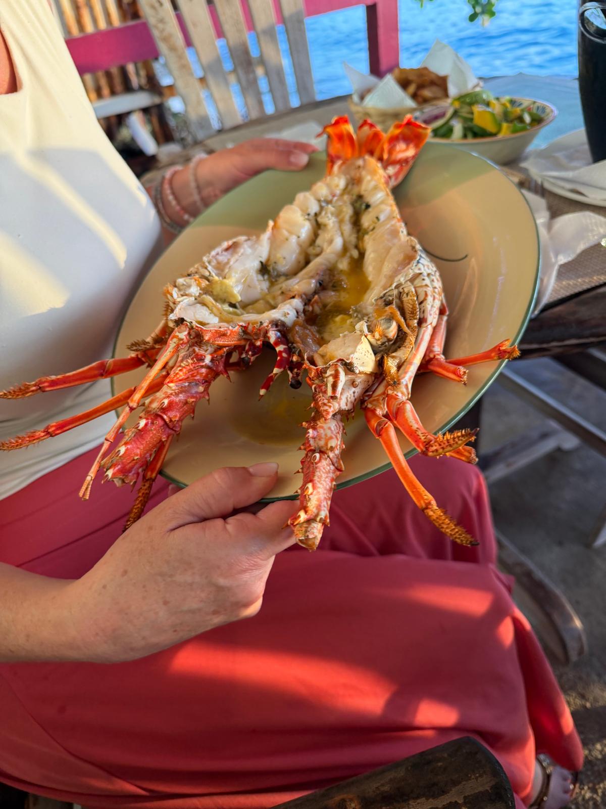 Restaurant dining experience