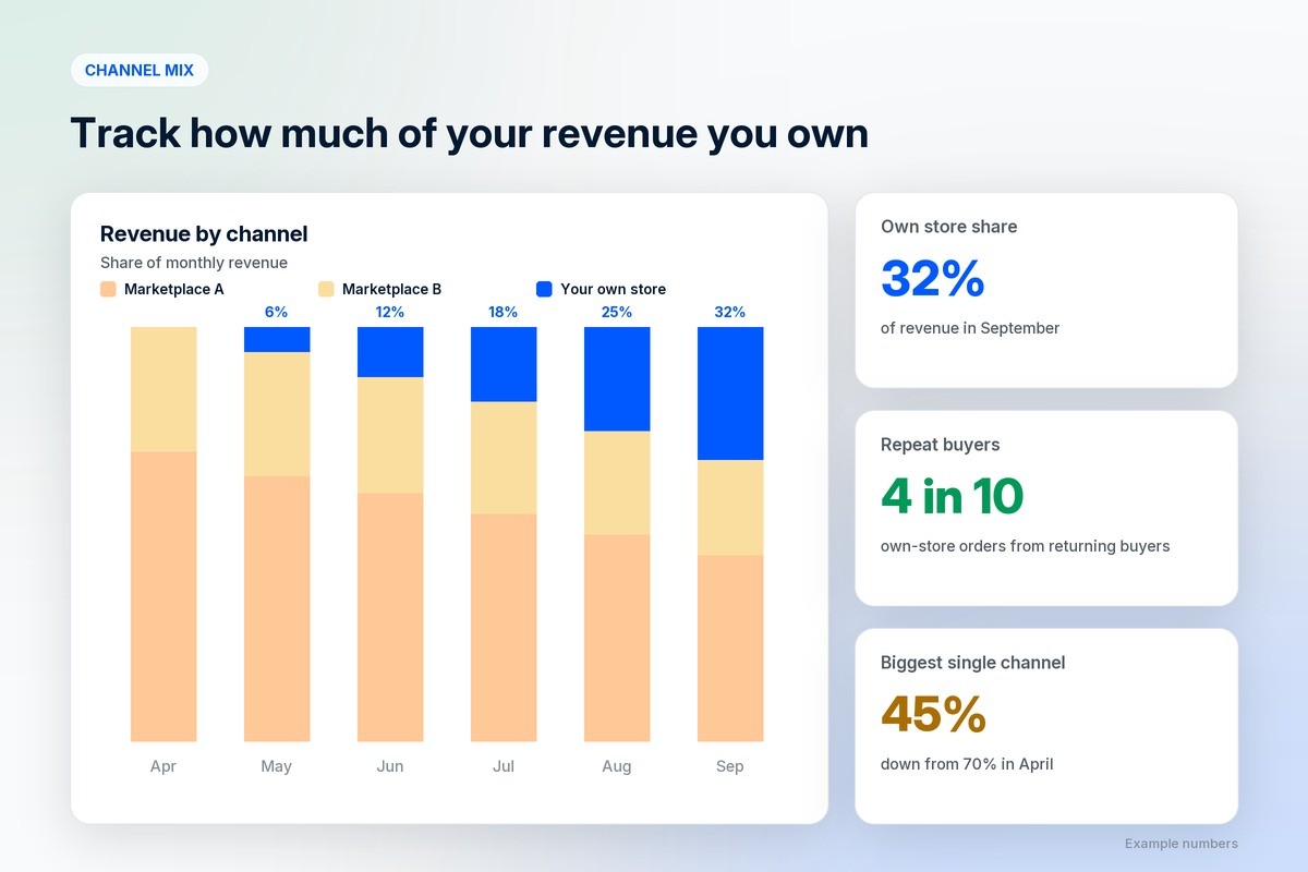 Example dashboard of revenue by channel shifting from marketplaces alone to a mix with a growing share from the brand's own store