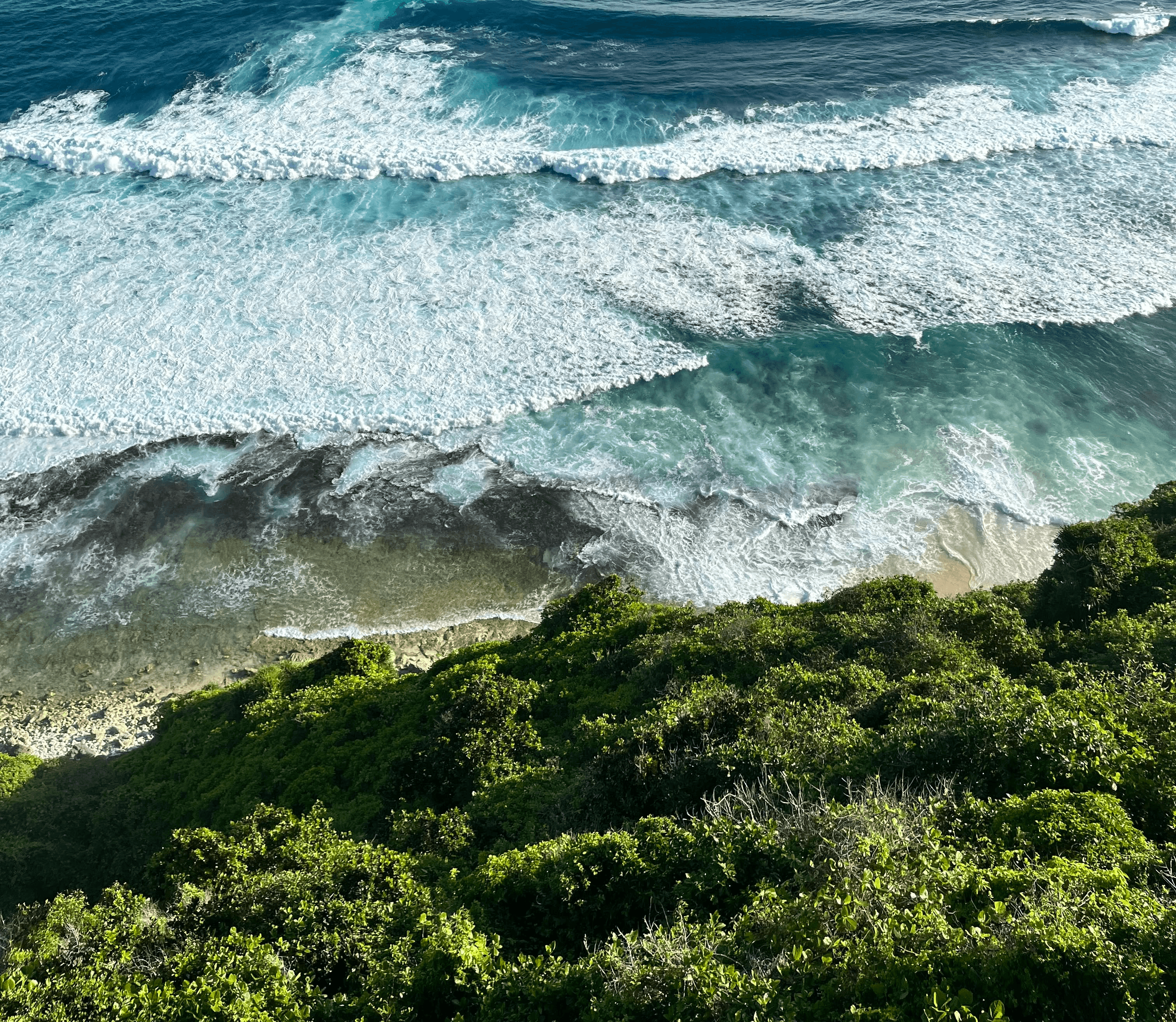 Close-up of a tree stump showing growth rings and a textured brown wood surface.