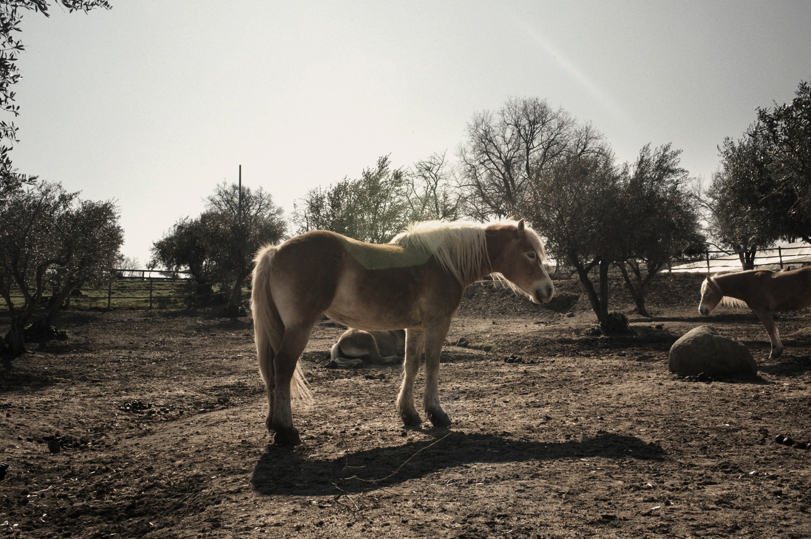 Tanya – Youth Disorder – sitting curled on stacked wooden pallets with a contemplative, moody look