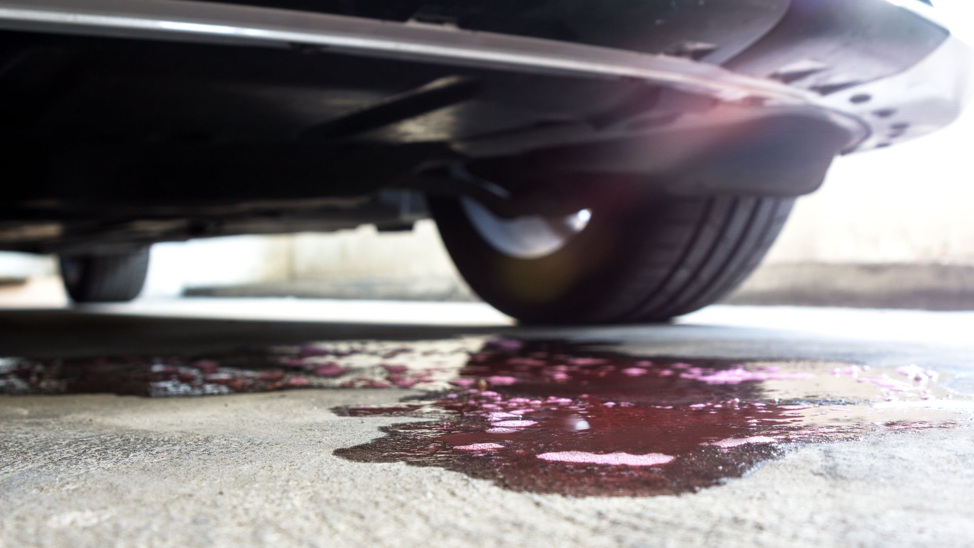 pink fluid under car