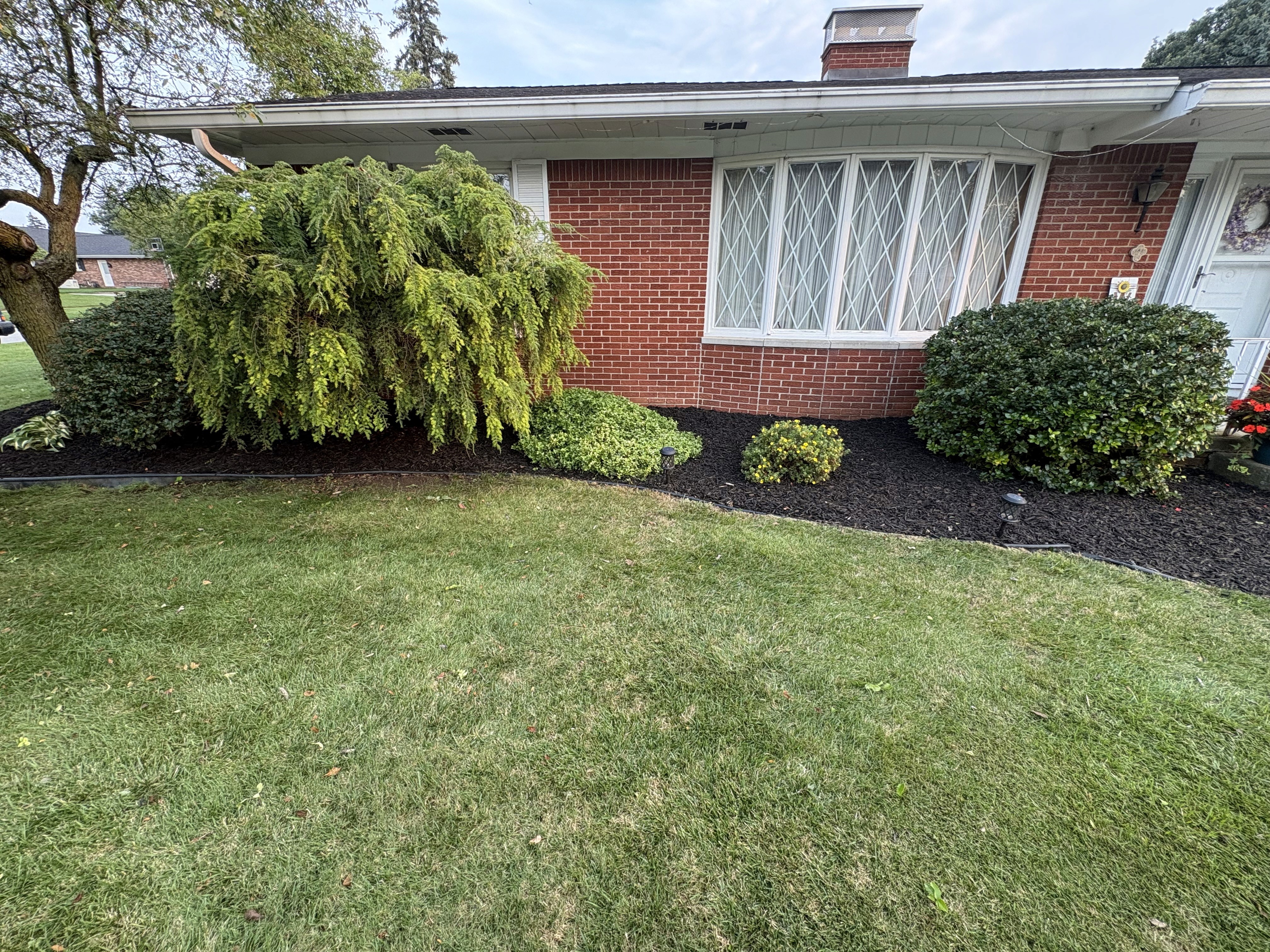 Documented tree trimming and bed refresh