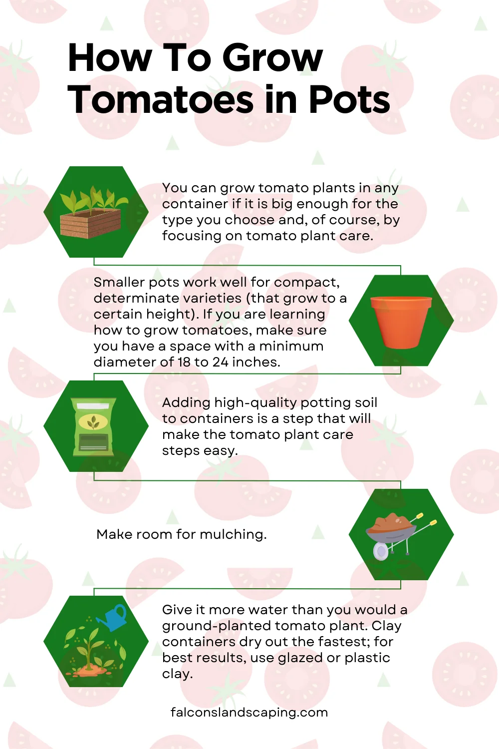 An infographic on how to grow tomatoes in pots