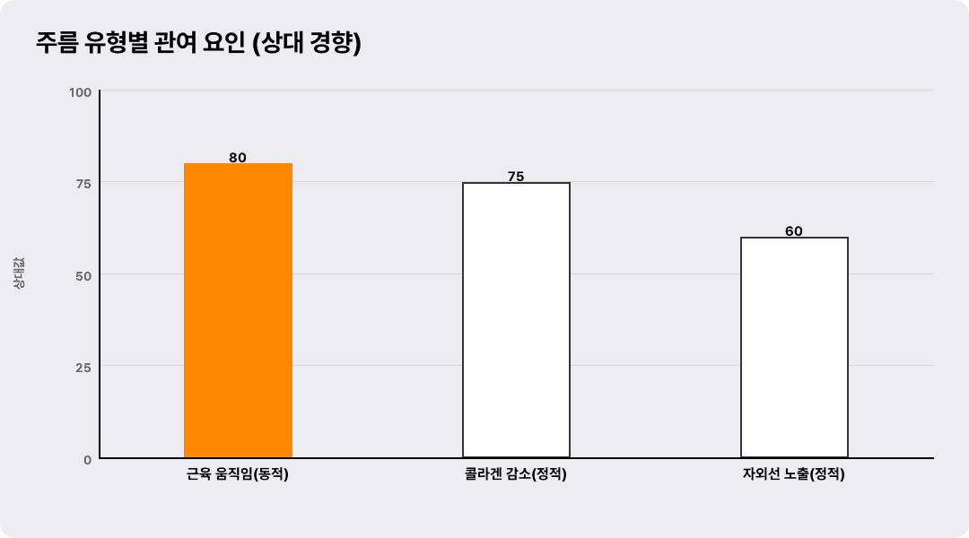 주름 유형별 관여 요인 (상대 경향)