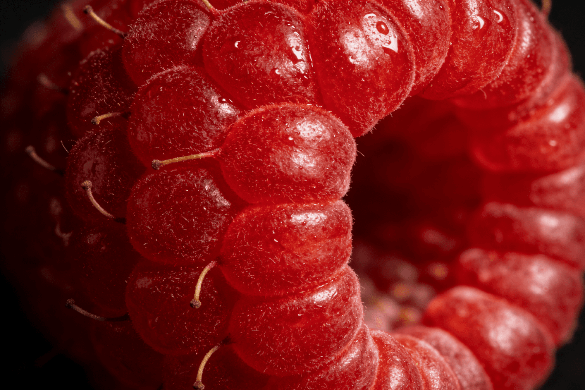 Close-up macro shot of a red raspberry with detailed texture