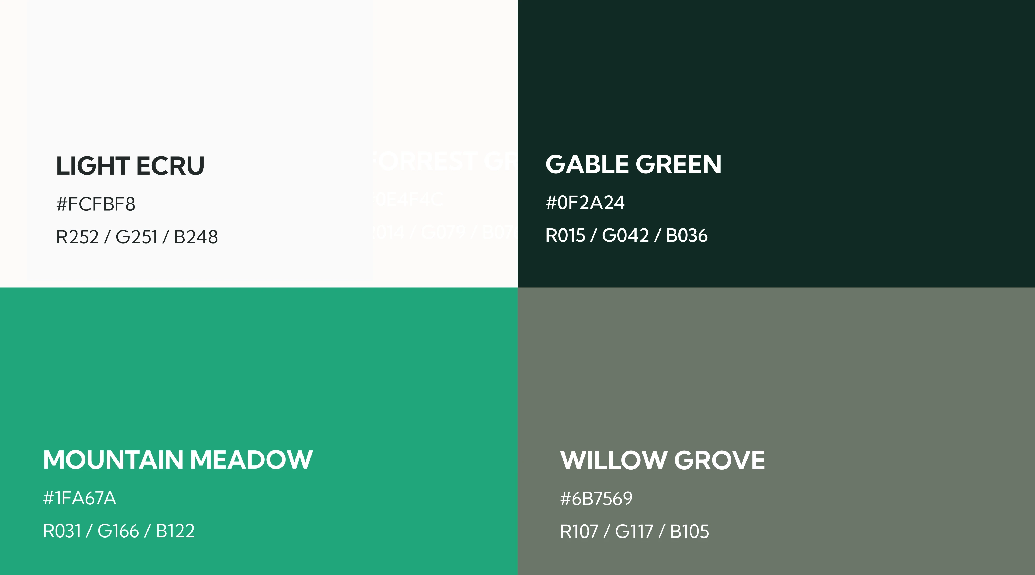 Steady brand identity system showing teal color palette