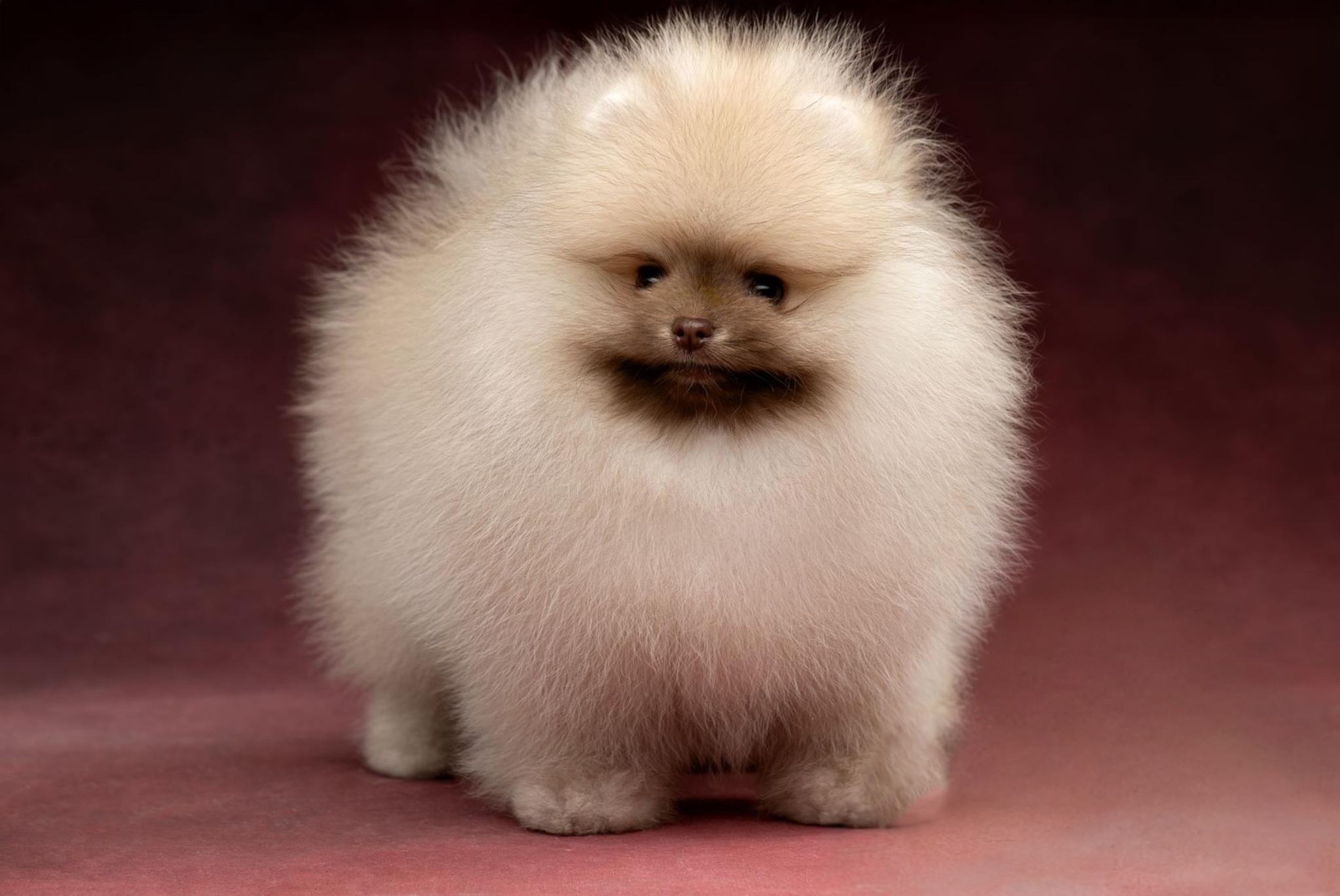 Max
