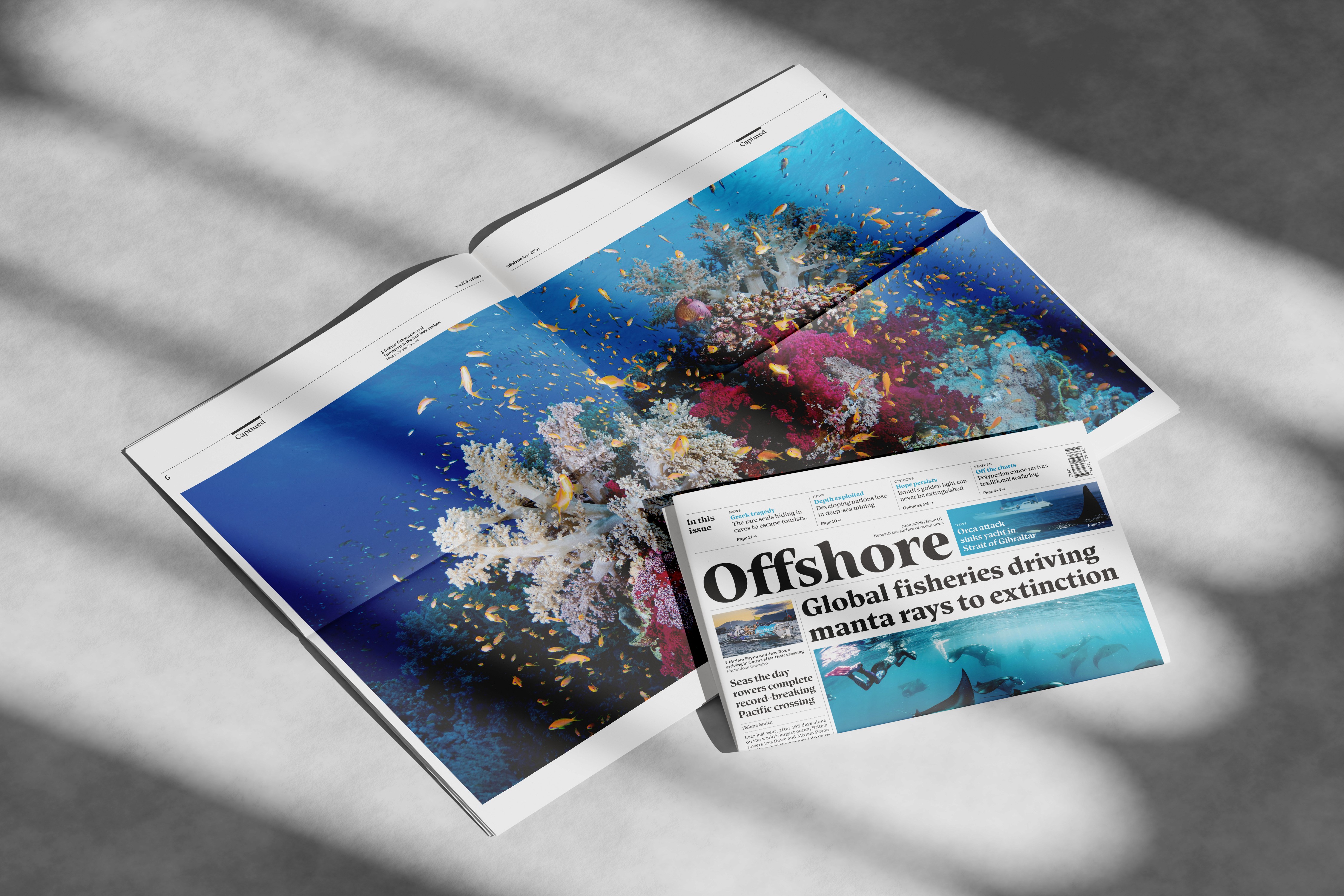 Portofolio image