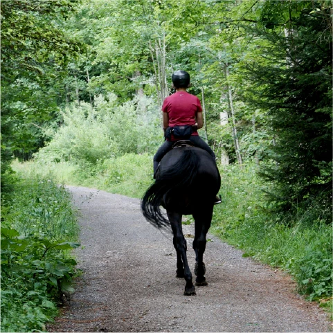a stream of water running through a grassy field