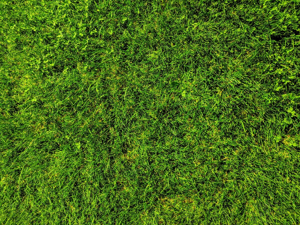 Green Icons