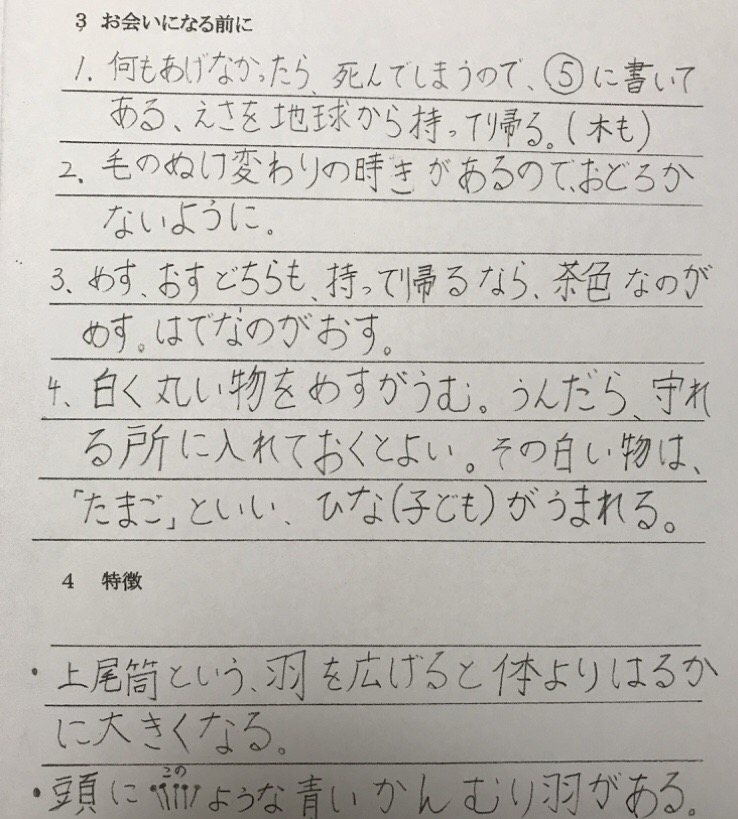宇宙人への取り扱い説明書
