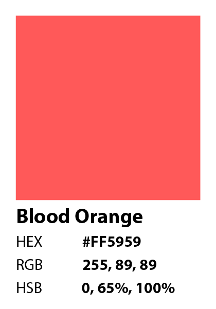 The Hub. Brand design project color.