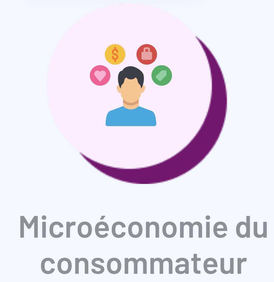 Microéconomie du consommateur