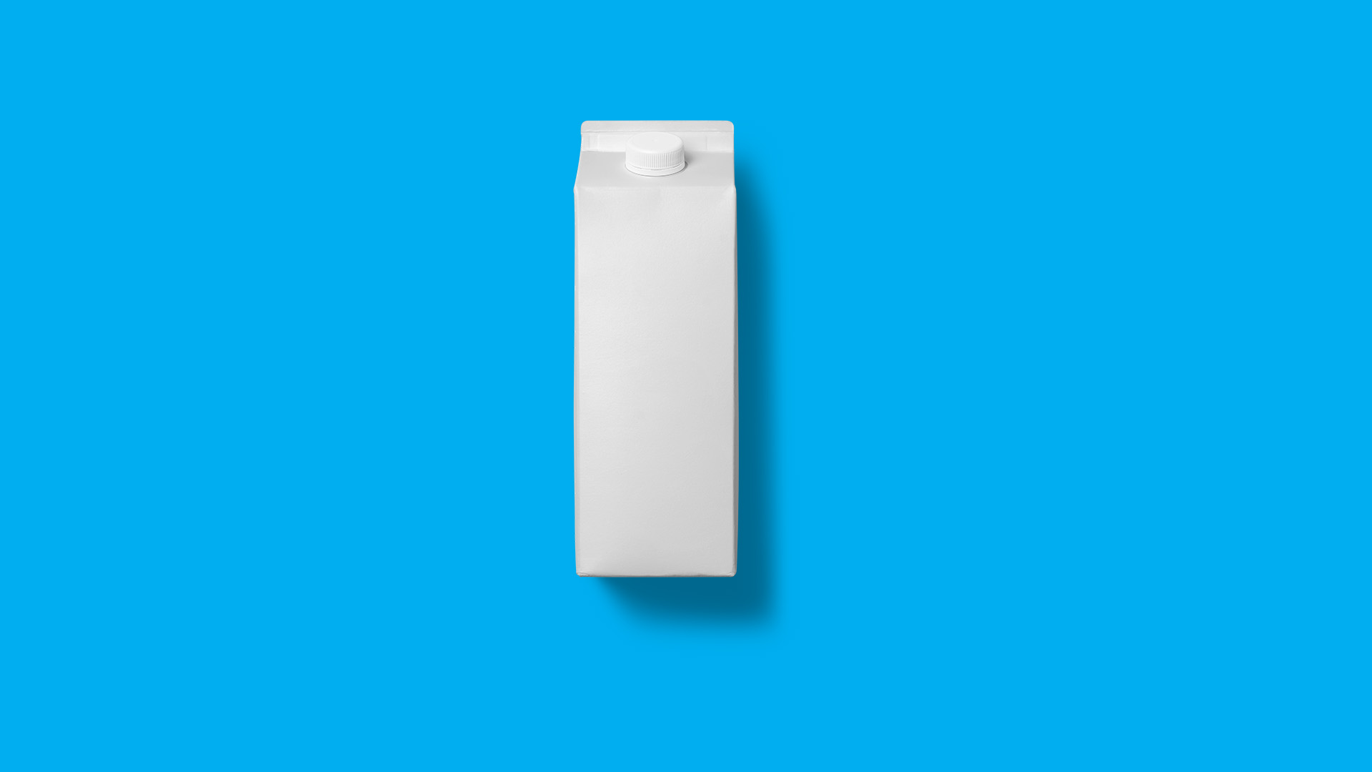 Blank milk box