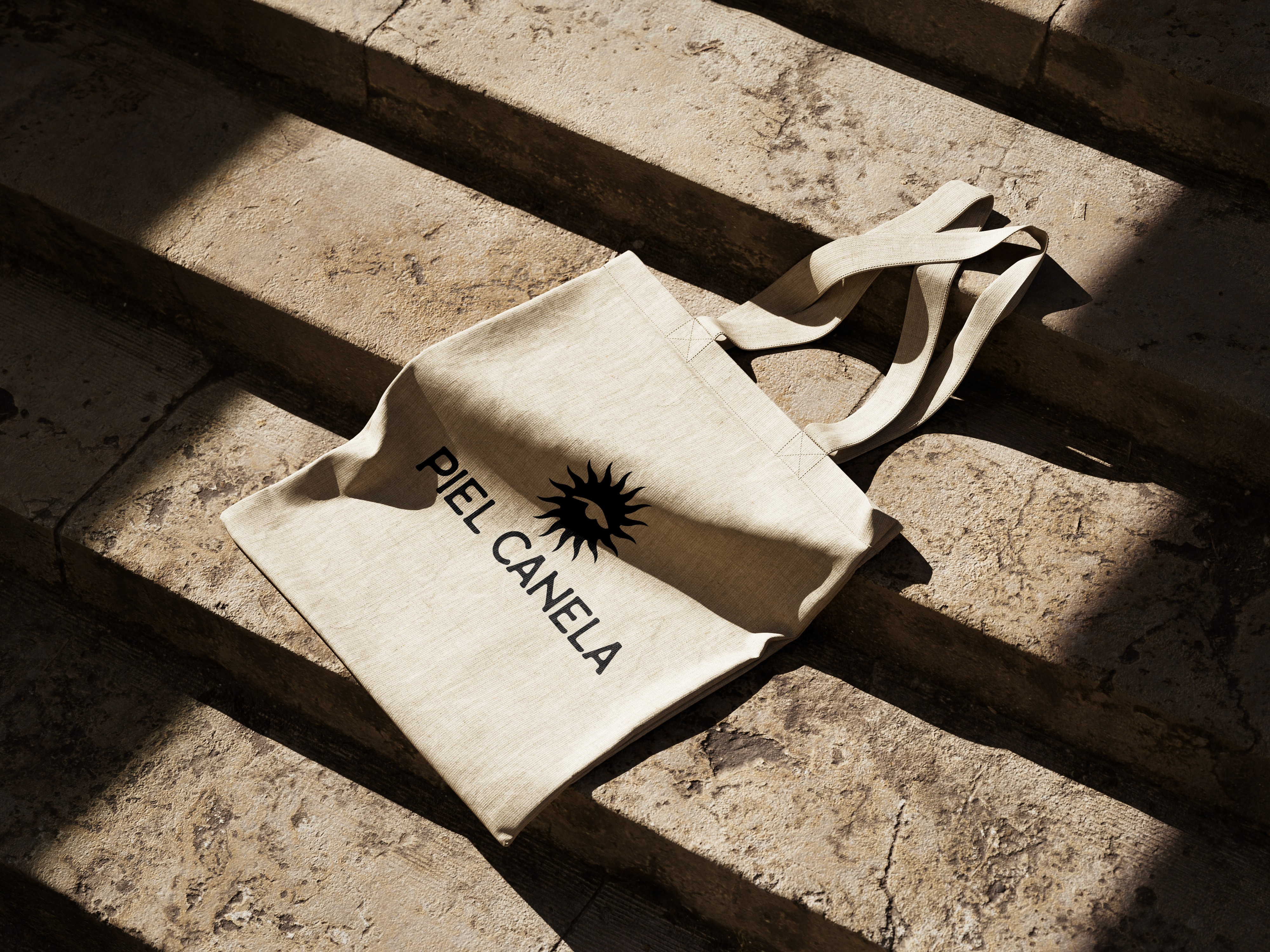 Open book with sunlight and shadows highlighting editorial typography design