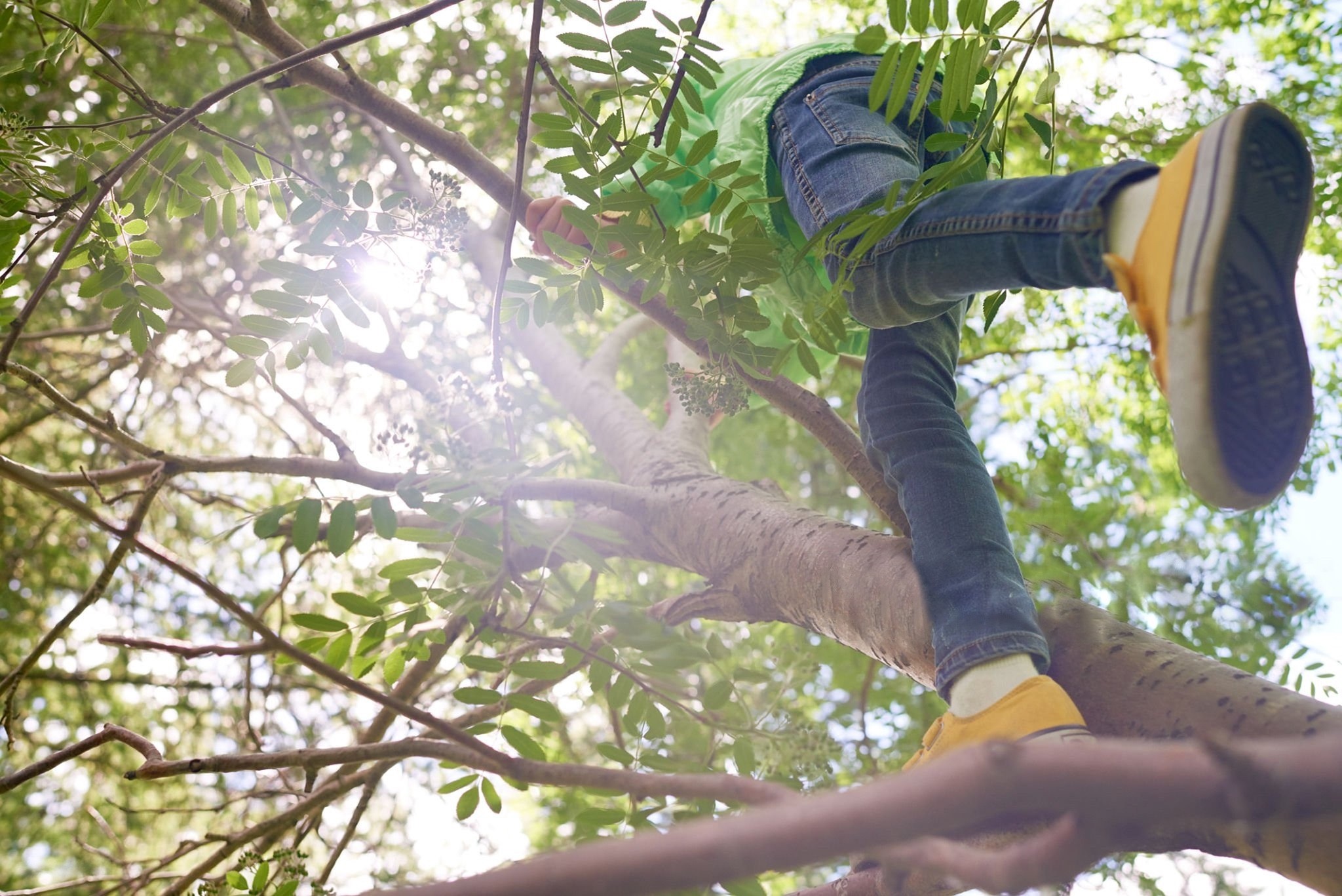 Dynamic picture of a cyclist riding downhill