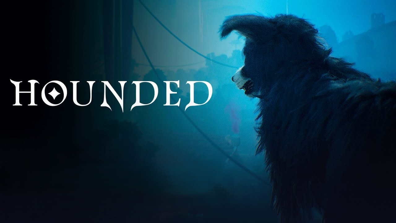 Hounded, pc game banner. A duke, a young border colllie. Black dog on the right side and text on the left side.