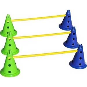 CanineGym® Gear Agility Kit