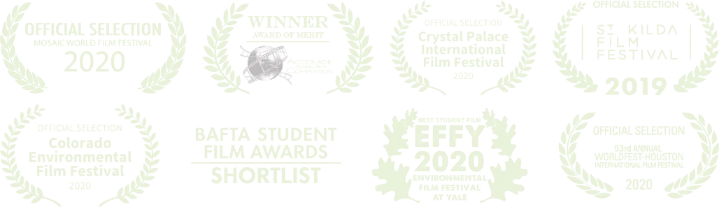 Award Logos: Mosaic World Film Festival, Accolade Global Film Competition, Crystal Palace International Film Festival, St Kilda Film Festival, Colorado Environmental Film Festival, BAFTA Student Film Awards, EFFT Best Student Film (Yale), Worldfest-Houston International Film Festival