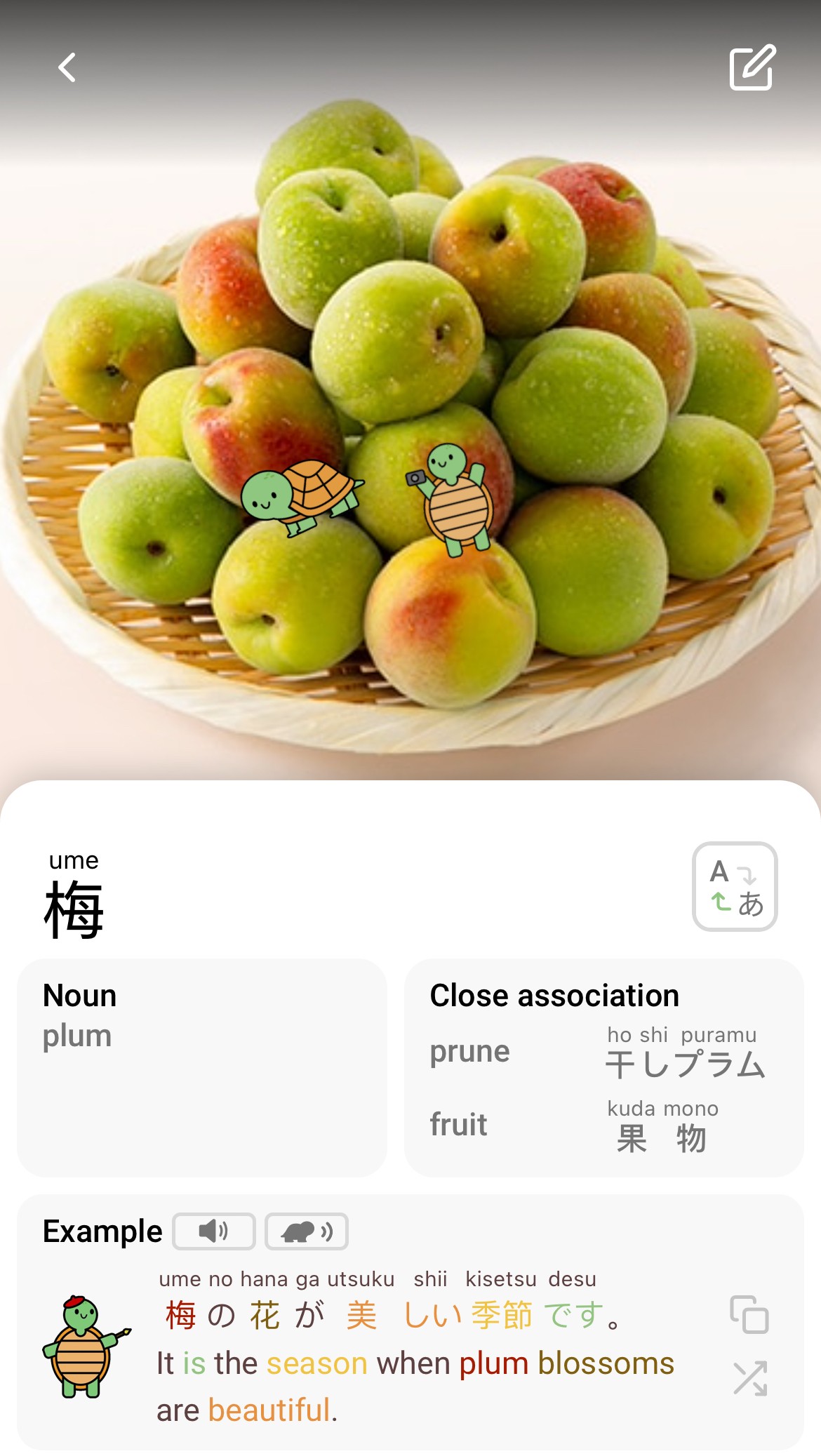 ume-plum