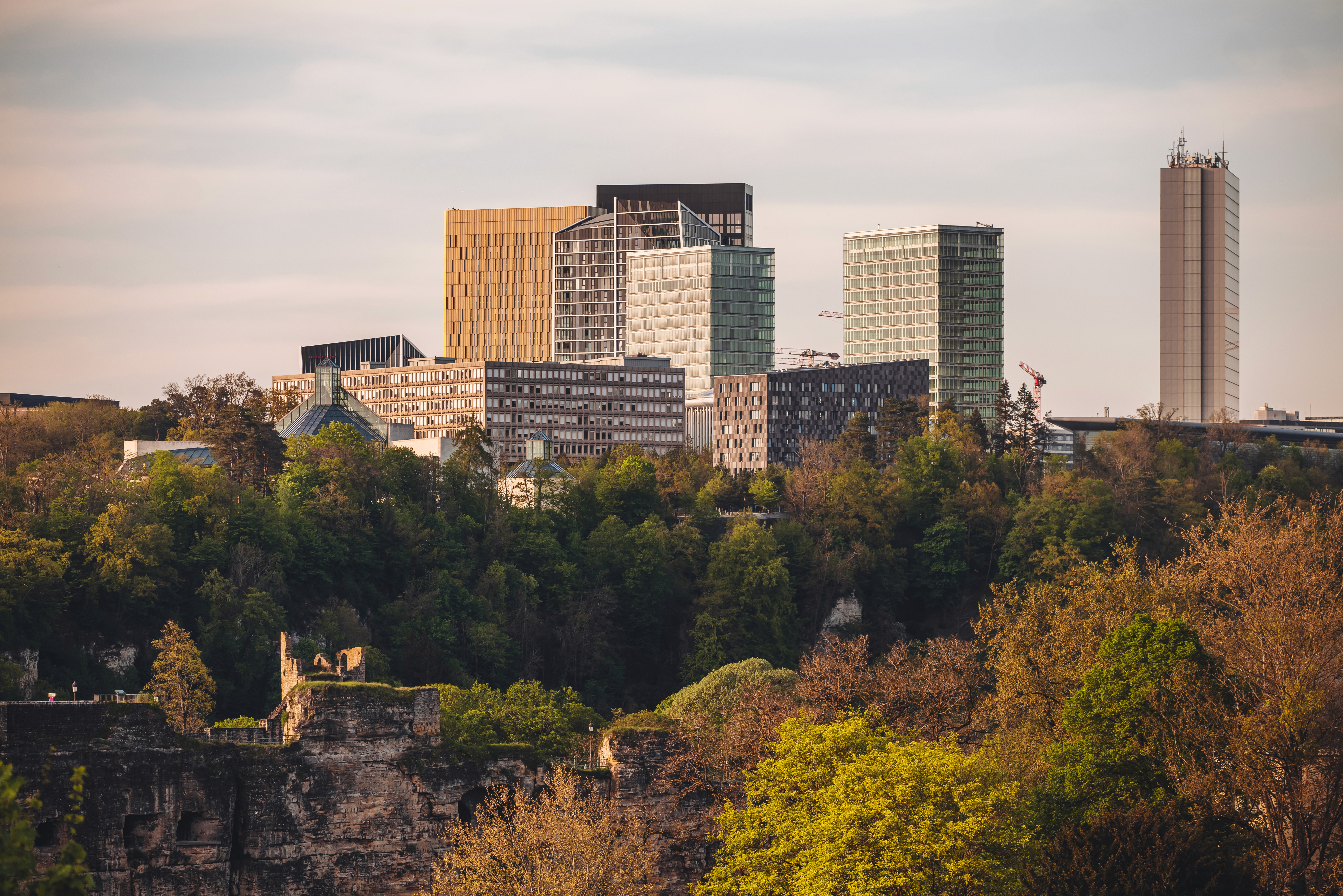 woman in blue tank top standing beside white wall