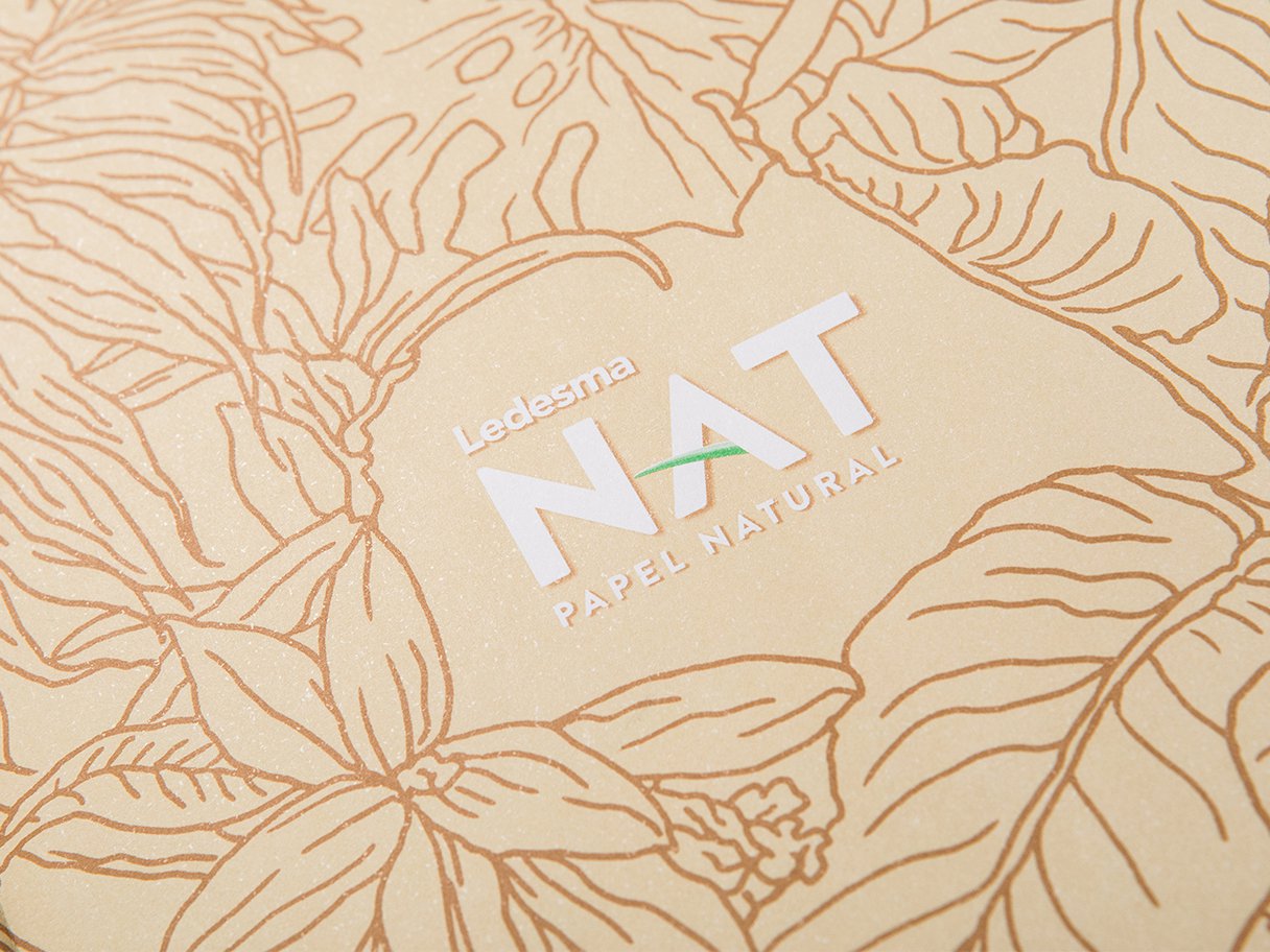 Rooftops of a coastal town with the sea in background