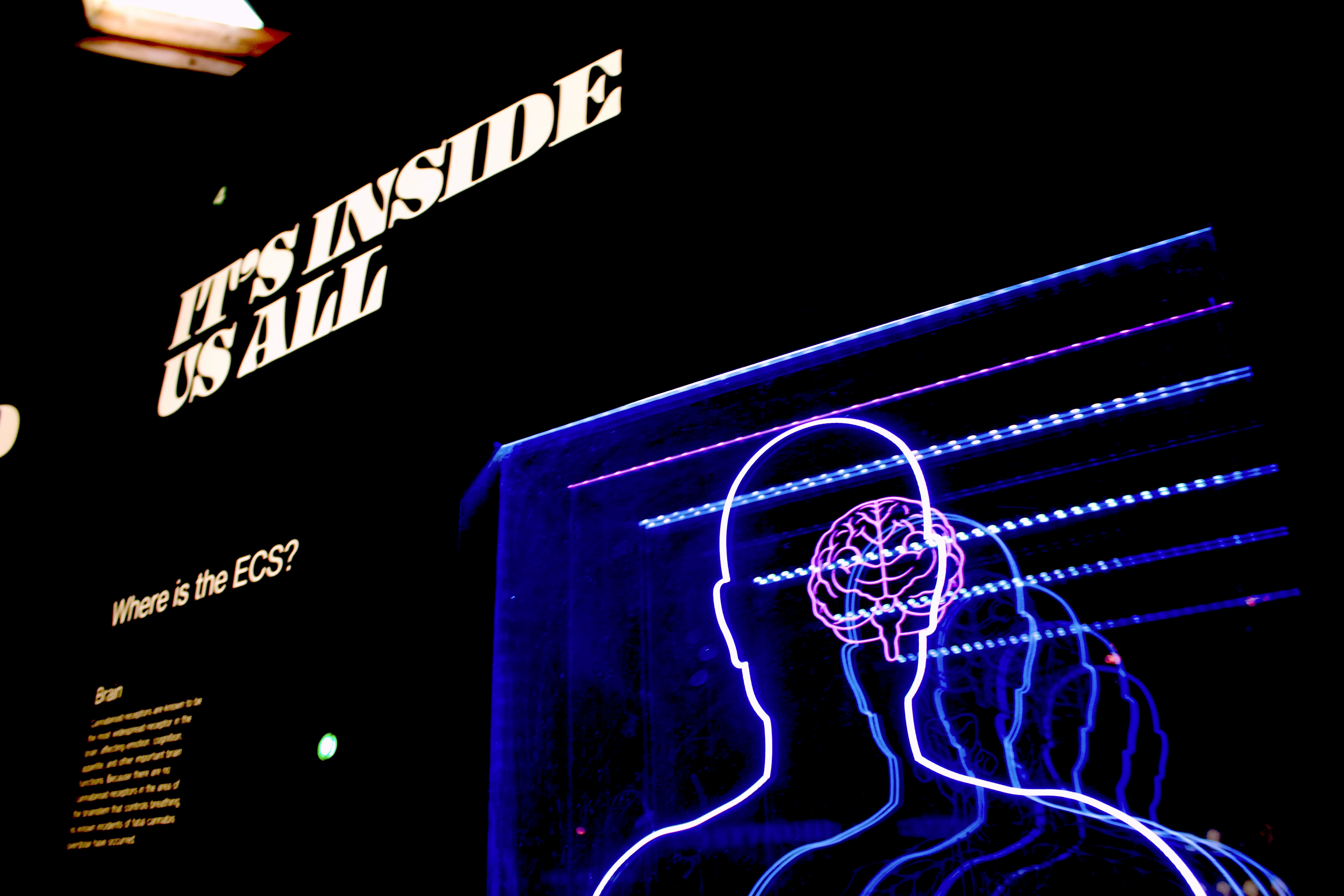 Neon Sign of Human with Brain - Obsidian Second Brain