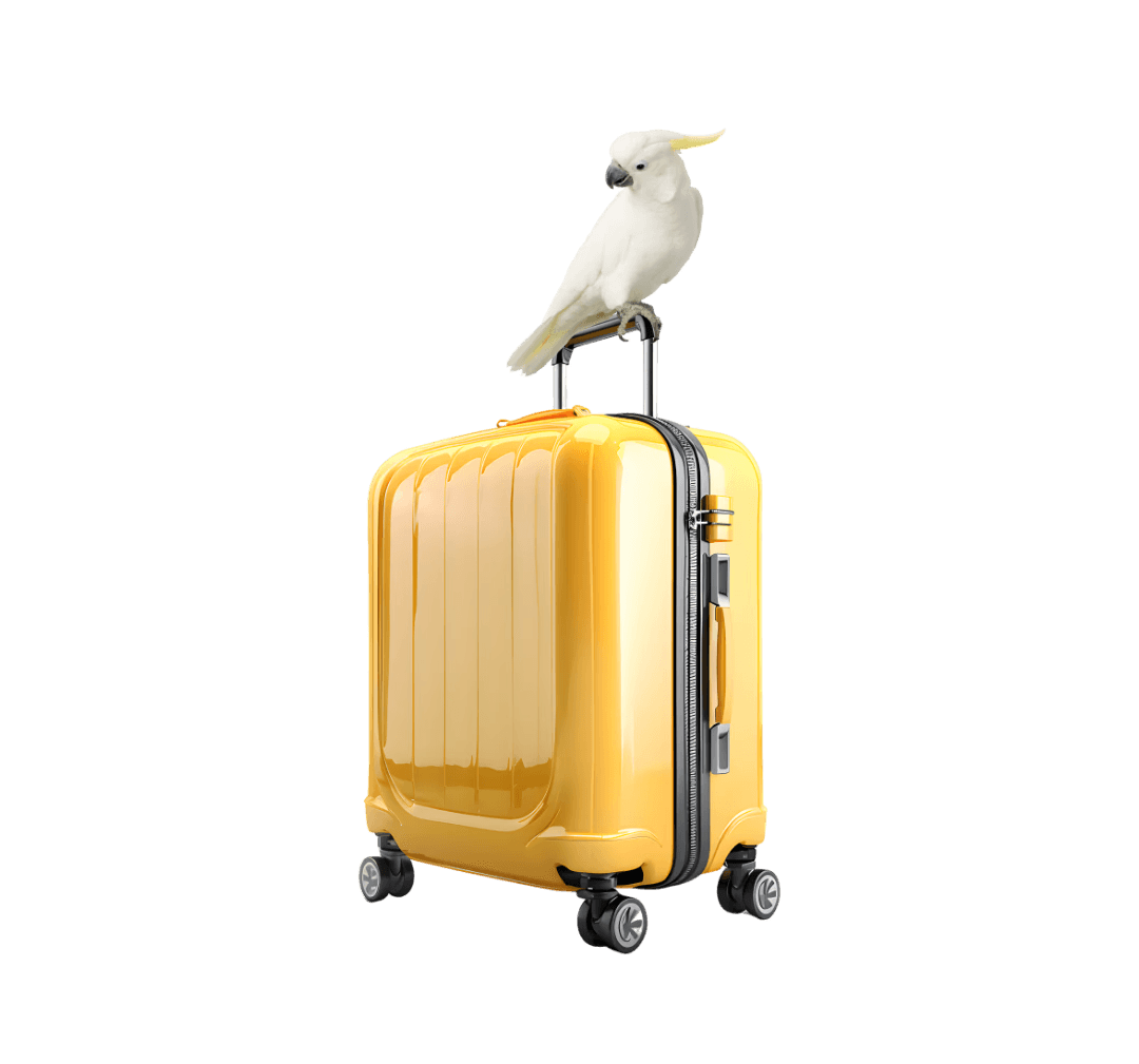 Vancouver storage for luggage