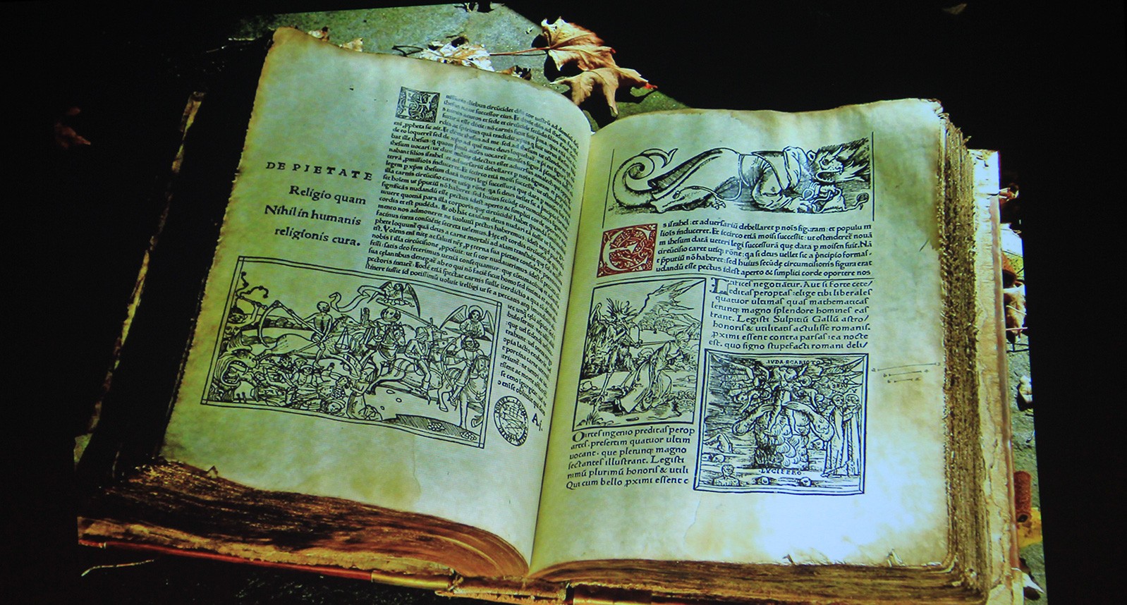 an opened book with large paragraphs and illustrations inserted on top of the page and between the text paragraphs