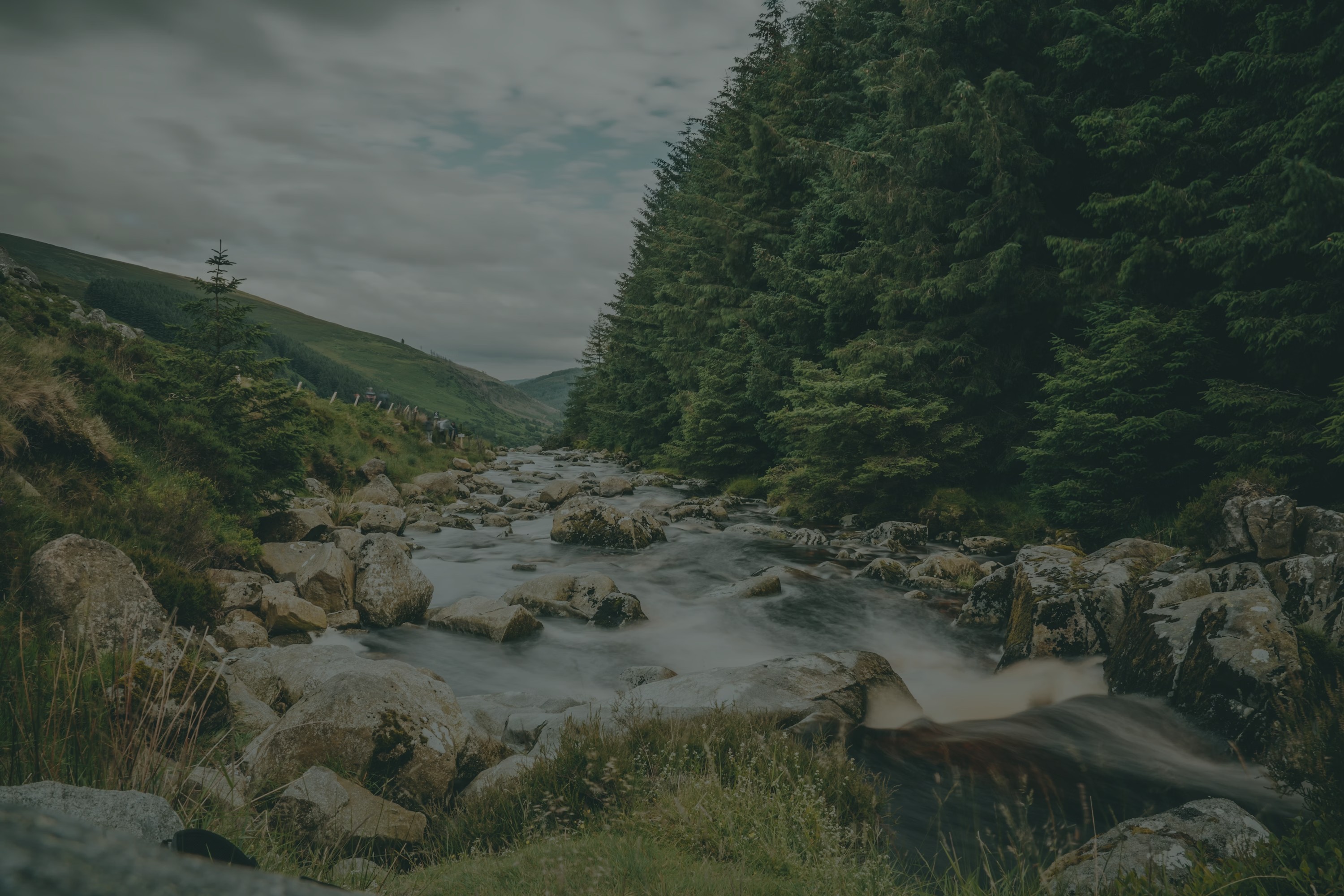 Rocky stream flowing through a green highland valley