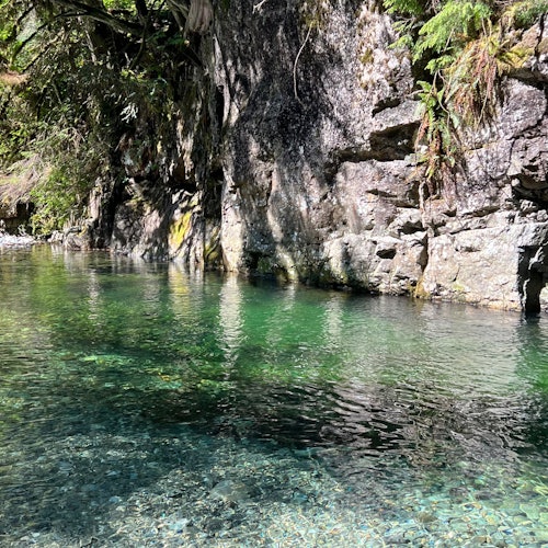 有人想去游泳吗？