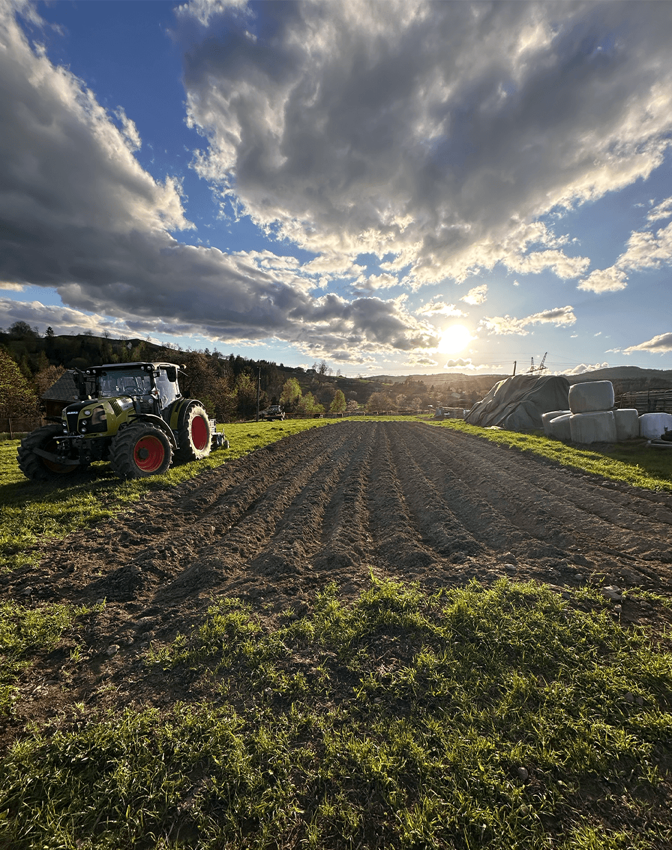 Concetrated triathlete grayscale