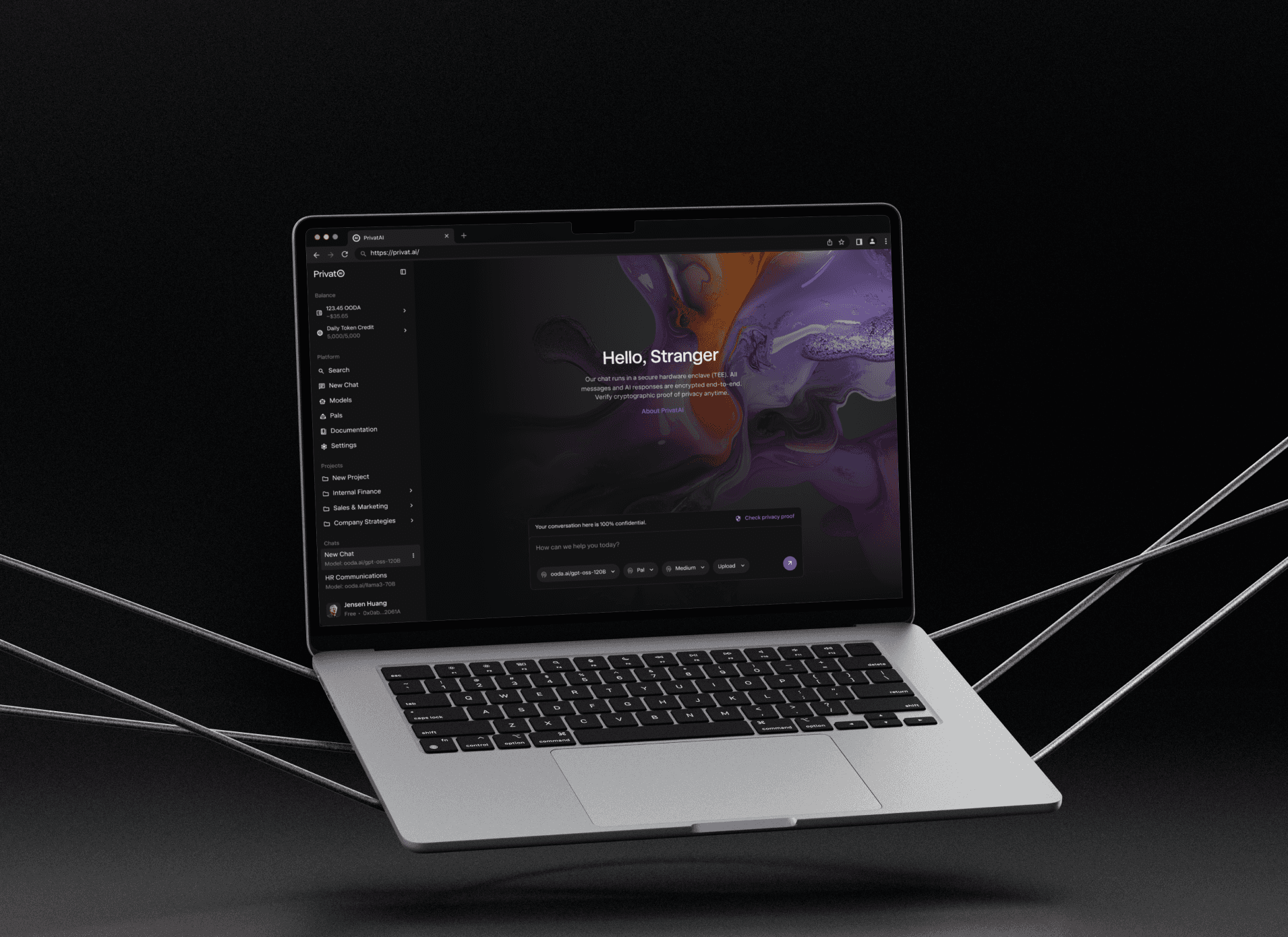 Desktop UI design of the PrivatAI landing page displayed on a MacBook Pro. Features a sophisticated "Hello, Stranger" welcome screen for a secure AI chat interface, emphasizing verifiable privacy and end-to-end encryption in a dark mode aesthetic.