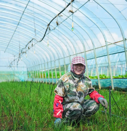 Environmental Stewardship